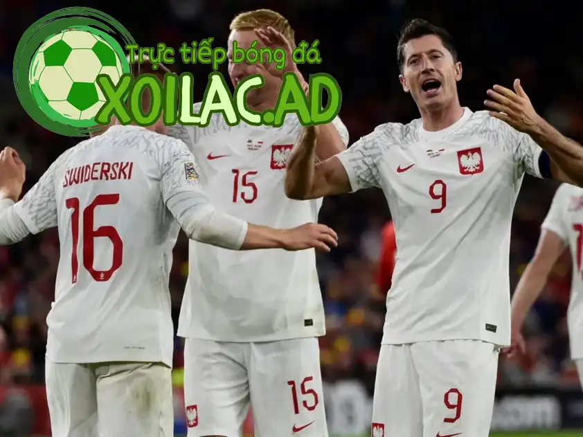 poland 203505